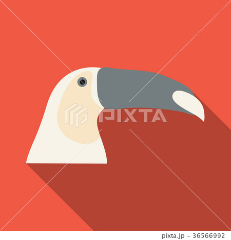 brazilian toucan bird nature brazilian toucan bird nature 36566992