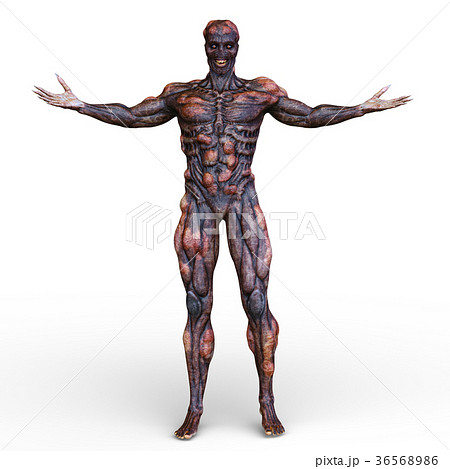 モンスター 36568986