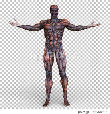 モンスター 36568986