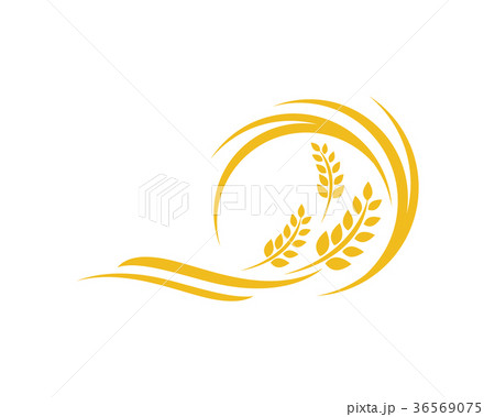 Agriculture wheat Logo Template vector icon design 36569075