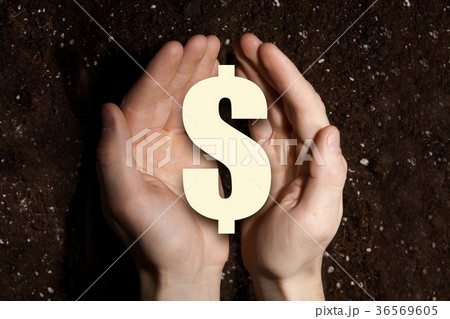 Dollar symbol in hands Dollar symbol in hands 36569605