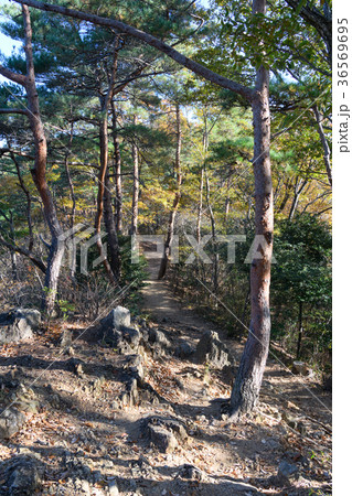 両崖山のハイキングコース 36569695