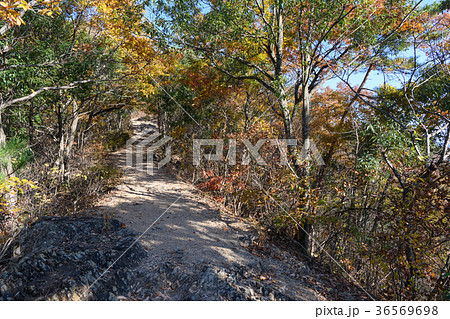 両崖山のハイキングコース 両崖山のハイキングコース 36569698