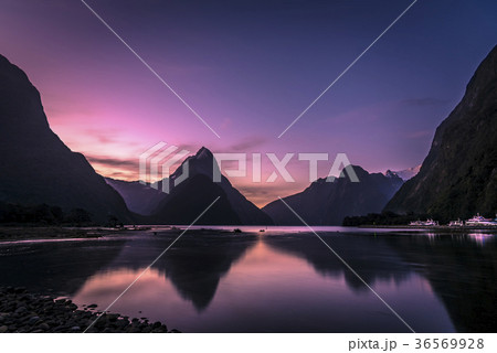 夕暮れのミルフォードサウンド　ニュージーランド 36569928