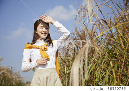 ススキ 女性 女 36570786