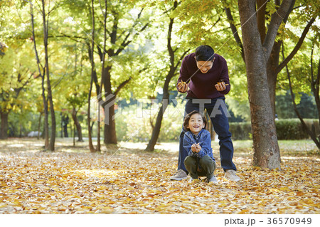公園 木 東洋人 36570949