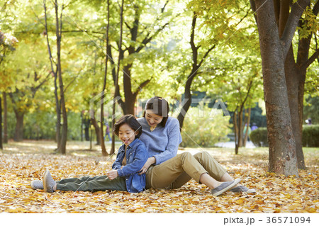 公園 少年 子供 36571094
