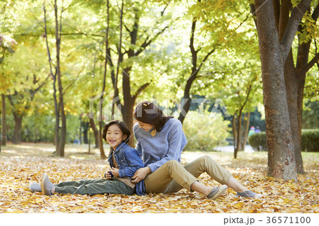 感情 公園 東洋人 36571100