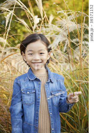 少年 子供 ススキ 36571152