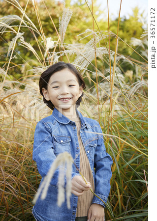 少年 子供 ススキ 36571172
