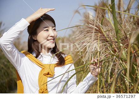ススキ 女性 女 36571297