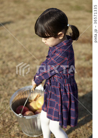 秋 下を向く 見下ろす 36571335