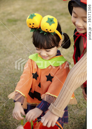 少女 少年 子供 36571366