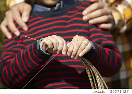 秋 手 息子 36571427