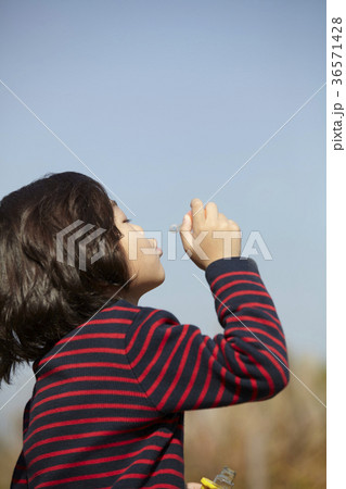 秋 感情 遊び 36571428