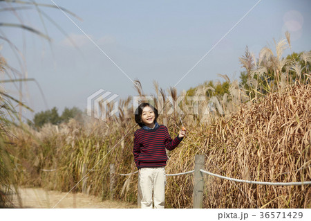 秋 感情 男 36571429