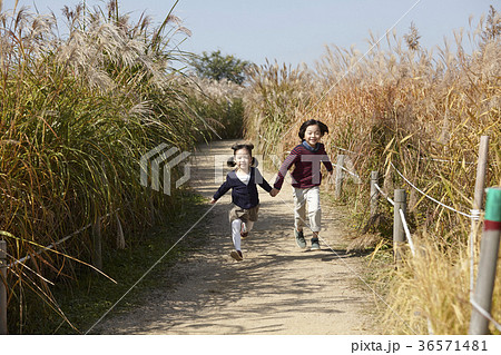 季節 ランニング 走り 36571481