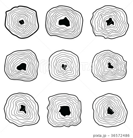 Collection of tree rings. 36572486