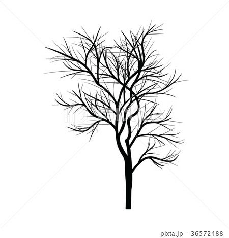 Trees with dead branchesのイラスト素材 [36572488] - PIXTA