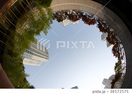 アパート マンション 空 36572575