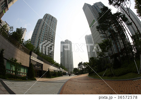 アパート マンション 京畿道 36572578