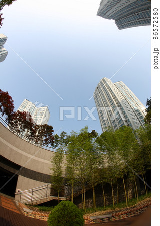 アパート マンション 空 36572580