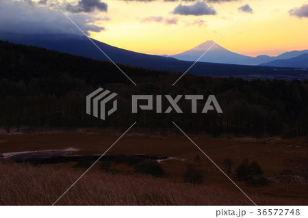 霧ヶ峰からの富士山と朝焼け 霧ヶ峰からの富士山と朝焼け 36572748