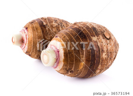 taro roots on white background taro roots on white background 36573194