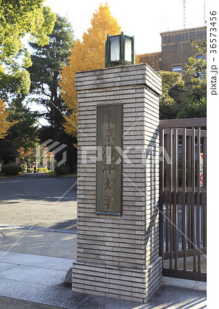 東京海洋大学 36573456