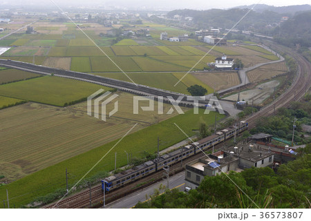 アジア人 アジアン アジア風 36573807