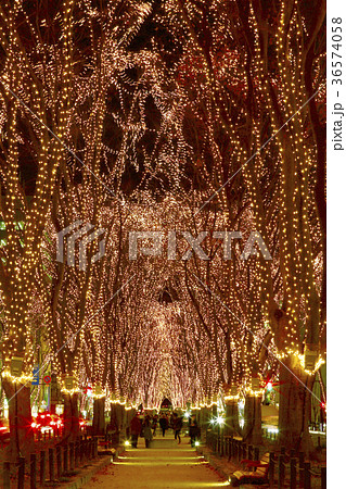 仙台光のページェント 36574058