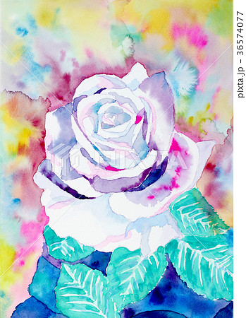水彩ホワイトローズ白い薔薇パステル春冬花のイラスト素材 36574077 Pixta
