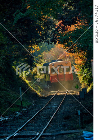 千葉県 小湊鉄道 月崎駅の紅葉の写真素材