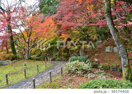 滋賀県、湖東三山・百済寺 滋賀県、湖東三山・百済寺 36574408