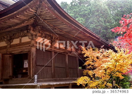 滋賀県、湖東三山・金剛輪寺 36574963