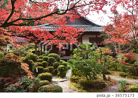 滋賀県、湖東三山・金剛輪寺 滋賀県、湖東三山・金剛輪寺 36575173