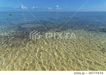 立原浜(たちばるはま) 鳩間島 36575656