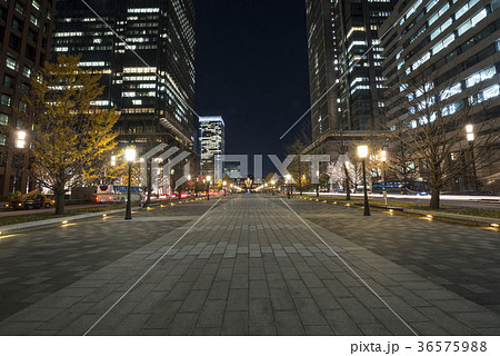 東京駅丸の内行幸通りの夜景 36575988