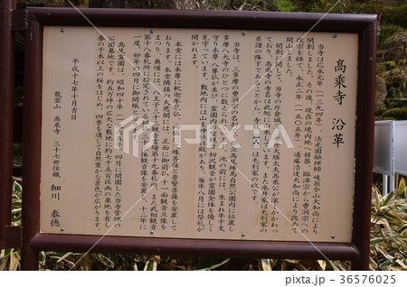 高乗寺の桜は八王子市初沢 高乗寺の桜は八王子市初沢 36576025