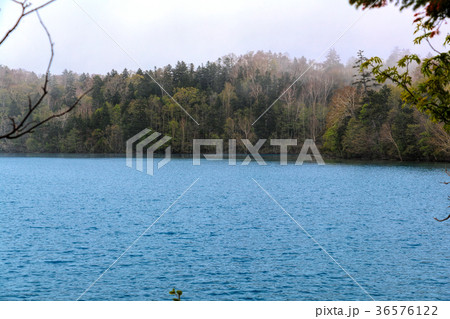 オンネトー(5月　春) 36576122