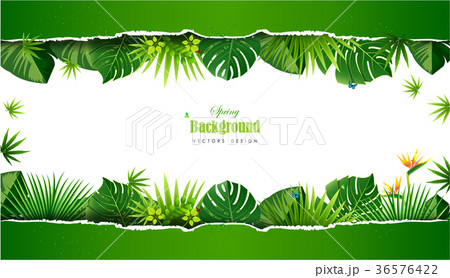 Bright tropical background with jungle plants.  36576422