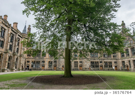 University of Glasgow 36576764