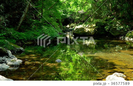 高知県 吉野川上流のエメラルドグリーン 高知県 吉野川上流のエメラルドグリーン 36577589