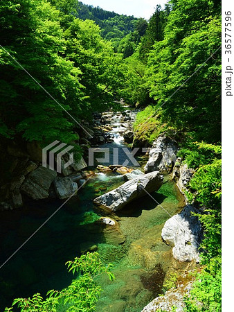 高知県 吉野川上流のエメラルドグリーン 高知県 吉野川上流のエメラルドグリーン 36577596