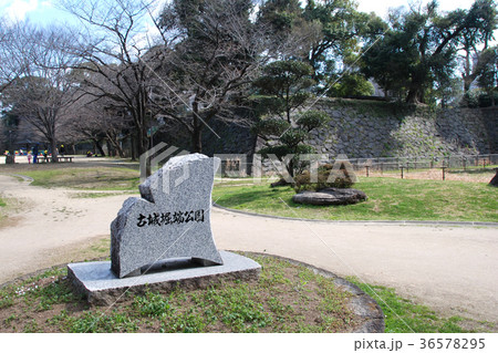 熊本城跡　古城堀端公園 36578295