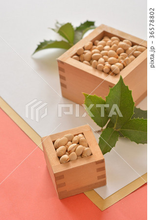 節分　豆とヒイラギの葉 36578802