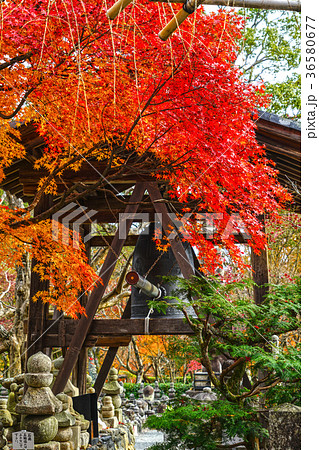 化野念仏寺の鐘つき堂 36580677