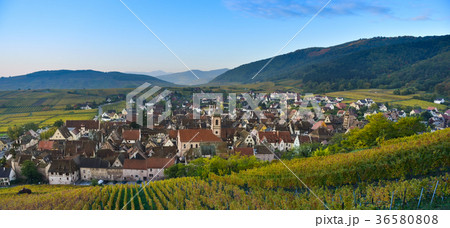Alsace village, with vineyard, Riquewhir France Alsace village, with vineyard, Riquewhir France 36580808