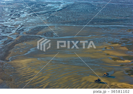 Fishermen houses in Bassin Arcachon 36581102