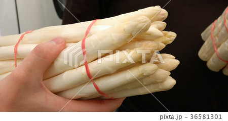 Bunch of white asparagus, Food 36581301